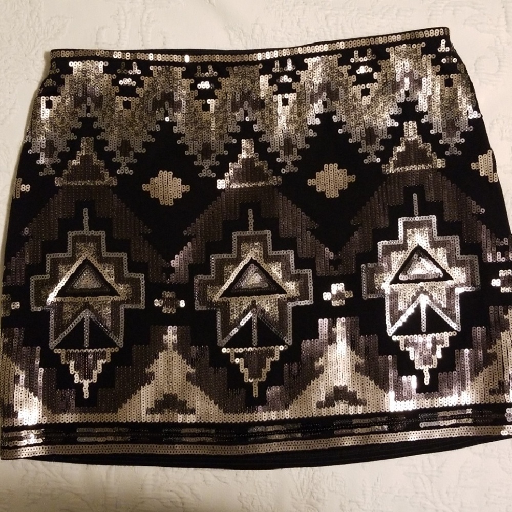 Express skirt